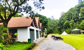 Loạt công trình xây dựng sai phạm trên đất rừng trong khu du lịch 'nông trại vui vẻ' Lào Cai 