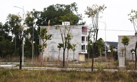 Bên trong khu đô thị 700 tỷ cỏ mọc um tùm, hạ tầng thi công đứt đoạn 