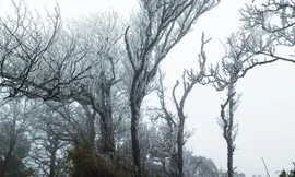 Nhiệt độ giảm mạnh, băng giá xuất hiện trên đỉnh Phia Oắc