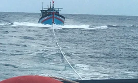Cứu 8 thuyền viên tàu cá gặp nạn cách đất liền 130 hải lý