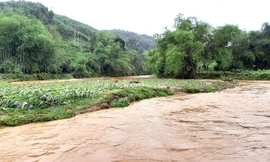 Yên Bái ứng phó với mưa lớn, lốc sét, mưa đá