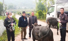 Kiến nghị thu hồi hơn 200 triệu đồng chi sai trong chương trình mục tiêu quốc gia ở Thái Nguyên