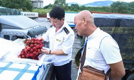 Hàng chục xe hàng nông sản bắt đầu xuất khẩu sau thời gian dài đóng biên