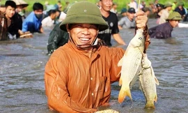 Hàng trăm người lao xuống bắt cá cầu may