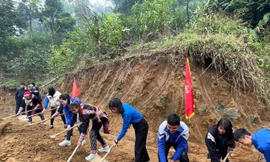 Tuổi trẻ Lào Cai triển khai nhiều hoạt động chào mừng thành công Đại hội Đoàn toàn quốc XII