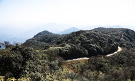 Cận cảnh đỉnh Phia Oắc săn mây, ngắm tuyết tuyệt đẹp ở Cao Bằng