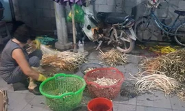 Phát hiện hàng tấn ngó sen ngâm trong hóa chất làm trắng để bán ra chợ đầu mối