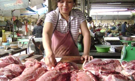 Phê bình Cục Thú y về quy định bán thịt trong tám giờ