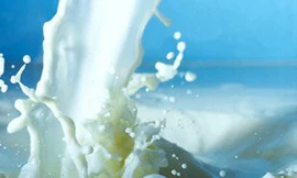 716 triệu USD nhập khẩu sữa