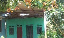 Ngôi nhà của chị Đ.T.B - nơi xảy ra vụ án