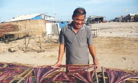 Lão ngư săn cá đuối khổng lồ