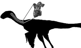 Hóa thạch khủng long lông vũ biết bay nhỏ nhất