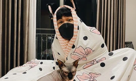 Dế Choắt ra MV "cây nhà lá vườn", chỉ fan chơi cờ ca-rô, chăm thú cưng "xả stress" 