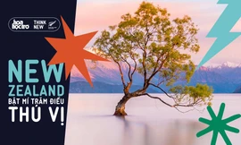 Tác giả Lê Chí Cường: Wanaka Tree - "Nàng thơ" cô đơn nhưng hạnh phúc