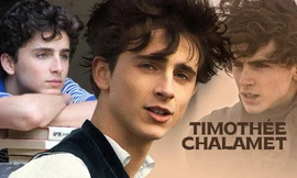 Điển trai, tài năng, chăm chỉ: Timothée Chalamet xứng đáng có triệu người yêu thương