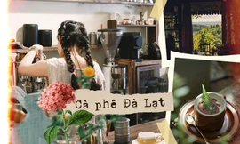 Cà phê Đà Lạt và những chuyện kể: Mùa Đông gạt đi nỗi buồn, mùa Hè đi tìm chiếc cốc mẻ