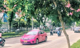 Bangkok "sống chung với dịch": Quán ăn vỉa hè mở lại, trung tâm thương mại căng biển sale