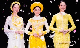 Bộ ba ‘mỹ nhân’ có thành tích thi Hoa hậu đẳng cấp quốc tế ‘đọ sắc’ đầy ấn tượng trong cùng khung hình