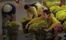 Thùy Tiên: 'Nhiều người trẻ quên về nhà, cũng có người muốn sum vầy gia đình nhưng không thể'