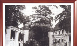 Bia Trúc Bạch - thỏa mãn mọi giác quan