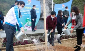 Sôi nổi các hoạt động Tháng Thanh niên ở Yên Bái