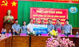 Lực lượng Kiểm ngư Vùng V: Tăng cường tuần tra, xử phạt tàu cá khai thác bất hợp pháp 