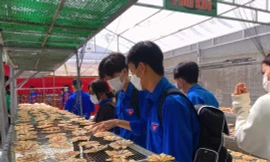 Giúp thanh niên dân tộc thiểu số, vùng biên giới khởi nghiệp từ tài nguyên bản địa 