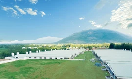 Mavin nhận giải “Thương hiệu sản xuất trong nước tốt nhất” từ Auscham tại Việt Nam