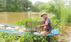Loại hình sinh kế hiệu quả thích ứng với mùa lũ đầu nguồn tại An Giang 