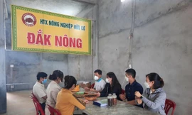 SHIN cà phê đồng hành cùng cà phê cảnh quan dự án VnSAT