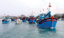 Những lưu ý với ngư dân khi tham gia khai thác trên các vùng biển 