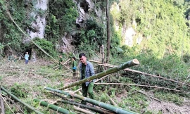 Hiện trường vụ việc. Ảnh: ĐQ