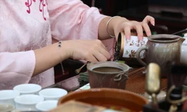 Mùa sen nở mở ra không gian cho du khách đến thưởng lãm