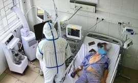 Điều trị cho bệnh nhân COVID-19 nguy kịchẢnh: N.Mai