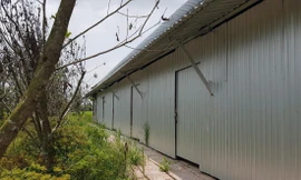 Dãy nhà 6 căn “mọc” trên đất lúa bị cơ quan chức năng xử phạt