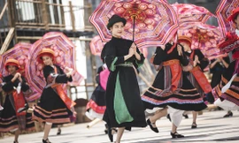 Nhiều doanh nghiệp du lịch hưởng ứng xã hội hóa vắc-xin để du lịch có thể sớm trở lại. Ảnh: Kỳ Sơn