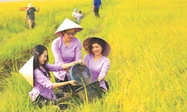 Nữ doanh nhân Phạm Thị Diễm Lệ và niềm vui được mùa 