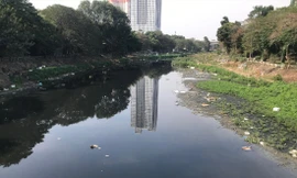 Ưu tiên khôi phục những dòng sông chết là nội dung quan trọng của Luật Tài nguyên nước vừa được Quốc hội thông qua Ảnh: QH 