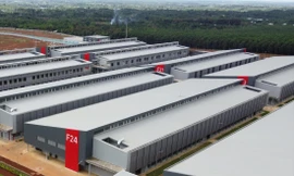 Cty TNHH Longwell liên tiếp lỗ trong 2 năm gần đây Ảnh: PV; đồ họa: Quốc Anh 