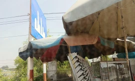 Biển báo giao thông khuất tầm nhìn được cắm trên quốc lộ 1A Ảnh: Viết Hà