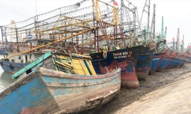 Không thể xoay xở trước giá xăng dầu tăng chóng mặt, hàng loạt ​​​​​tàu cá ở Nghệ An nằm bờ Ảnh: Cảnh Huệ