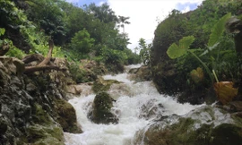 Suối Mơ trong đền Cấm Ảnh: Duy Chiến 