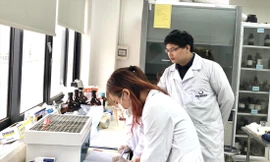 TS Trương Thanh Tùng, Đại học Phenikaa (Hà Nội) hướng dẫn sinh viên nghiên cứu khoa họcẢNH: LƯU TRINH