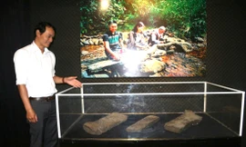 3 thanh đá tìm thấy ở suối Đăk Kar được trưng bày tại nhà triển lãm âm thanh tỉnh Đắk Nông