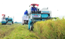 Doanh nghiệp khu vực ĐBSCL chờ đột phá từ Nghị quyết 68