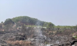 Nhà máy phân loại rác thủ công vì chưa xây dựng lò đốt 