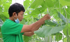 Nông nghiệp công nghệ cao lên phố núi