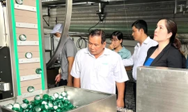 Hệ thống dây chuyền sản xuất mới của HTX Tân Mỹ được hỗ trợ gần 50% kinh phí đầu tư từ nguồn "khuyến công"