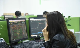 Nhà đầu tư, chuyên gia đánh giá, giải trình của DN không có hàm lượng thông tin cao Ảnh: Như Ý