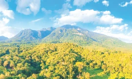 Đỉnh núi Chư Mom Ray 